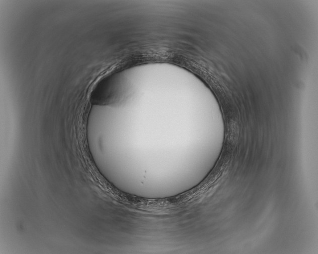 X0000111371201200907101010