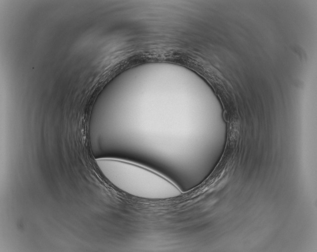 X0000111371202200907101010