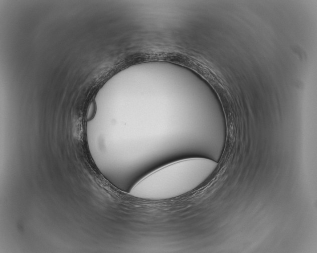 X0000111371204200907101010