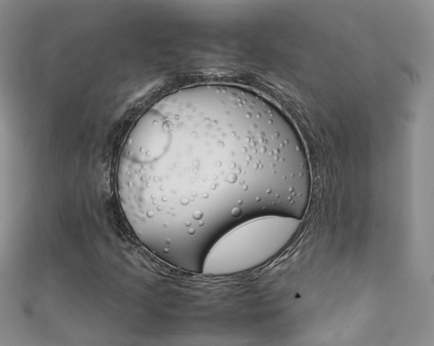 X0000111371205200907101010