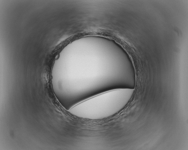 X0000111371206200907101010