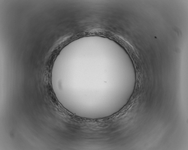 X0000111371207200907101010