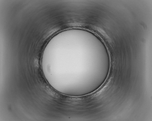 X0000111371209200907101010