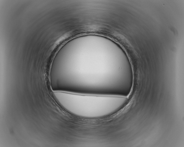 X0000111371210200907101010