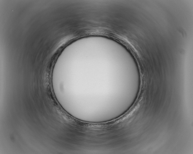 X0000111371211200907101010