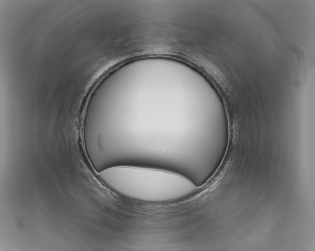 X0000111371212200907101010