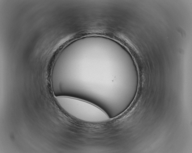 X0000111371213200907101010