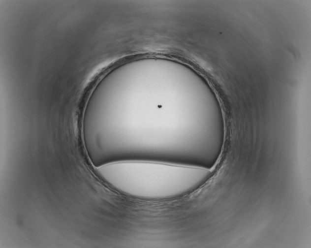 X0000111371214200907101010