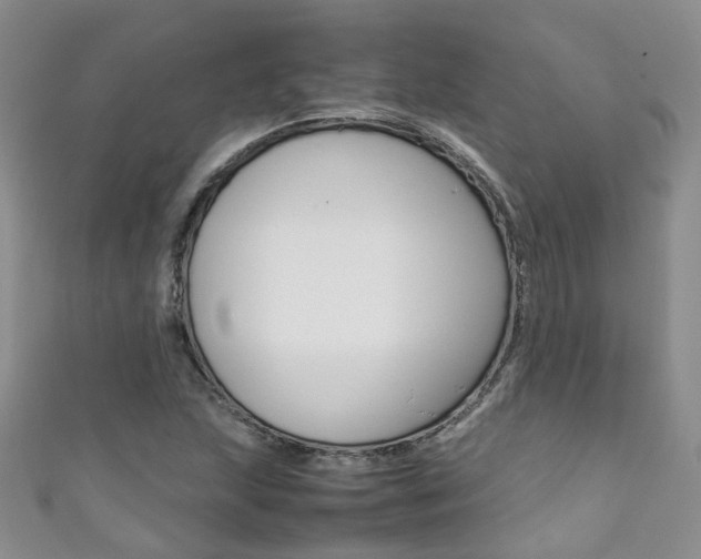 X0000111371215200907101010