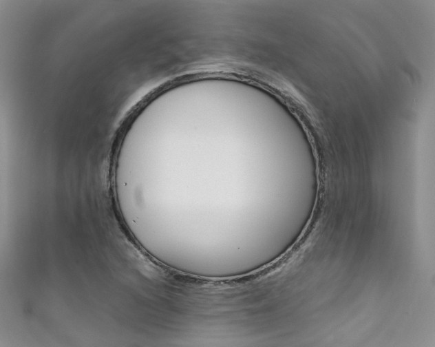 X0000111371216200907101010