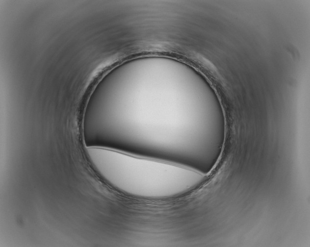 X0000111371218200907101010