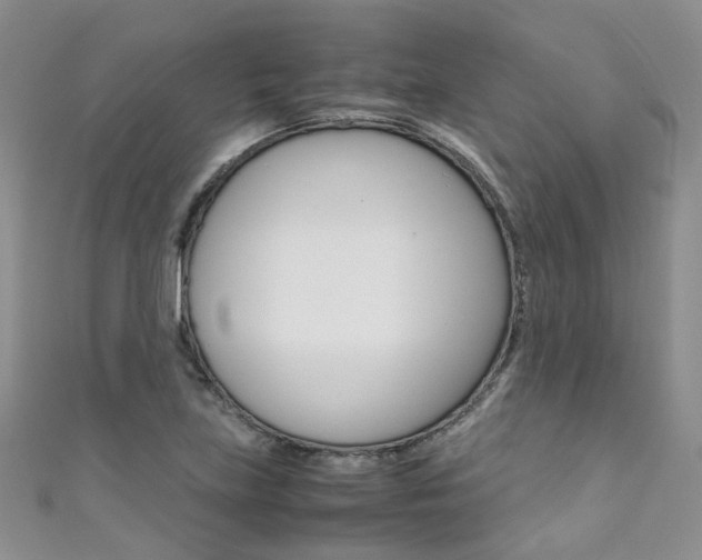 X0000111371219200907101010
