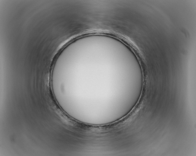 X0000111371220200907101010