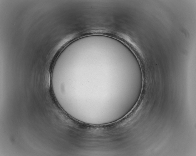 X0000111371221200907101010