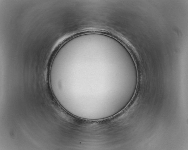 X0000111371222200907101010