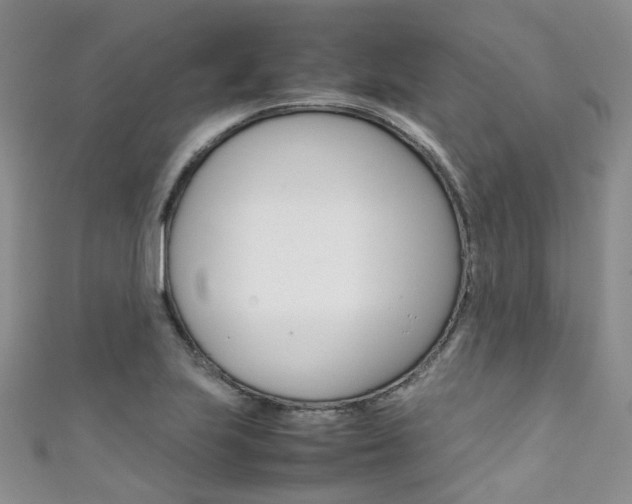 X0000111371223200907101010