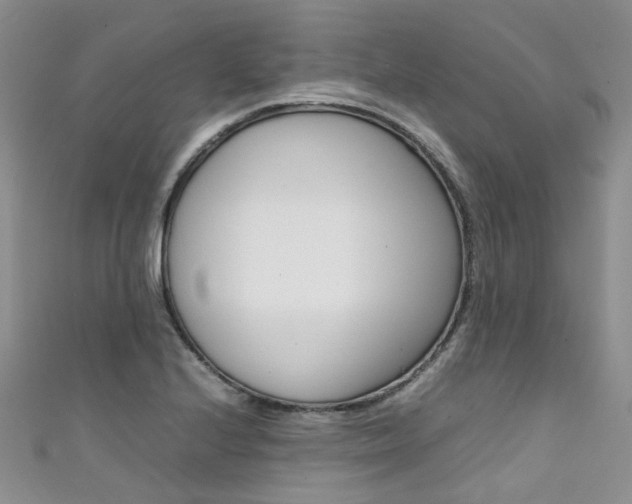 X0000111371224200907101010