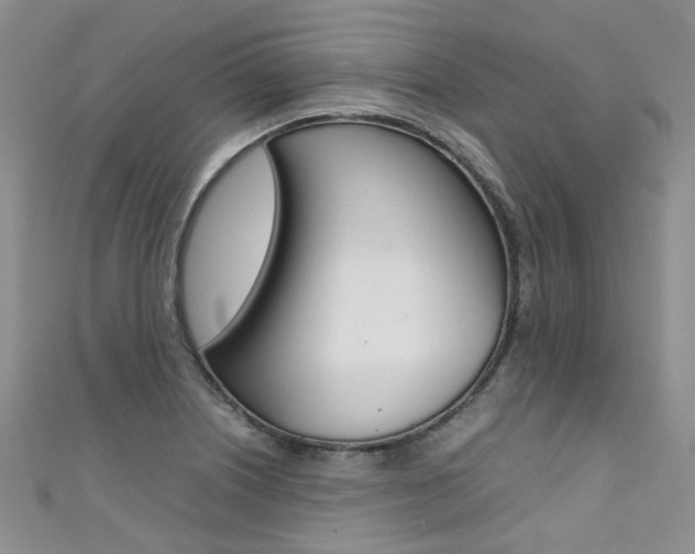 X0000111371226200907101010
