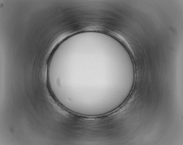 X0000111371227200907101010