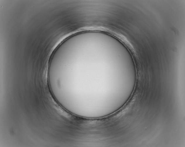 X0000111371228200907101010