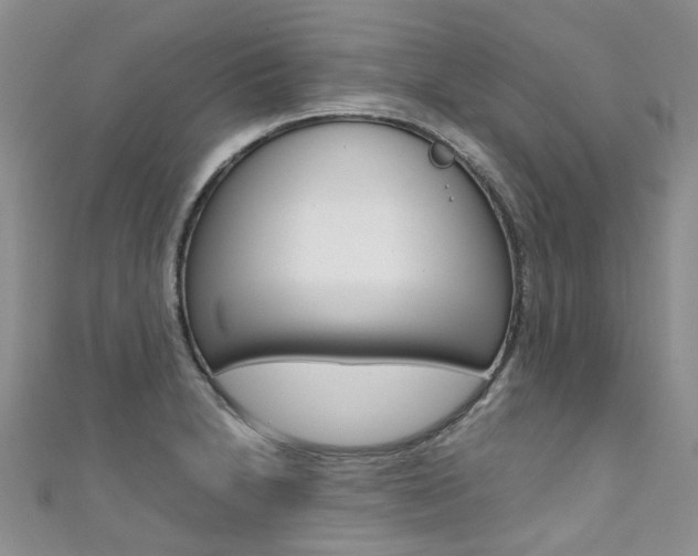 X0000111371230200907101010
