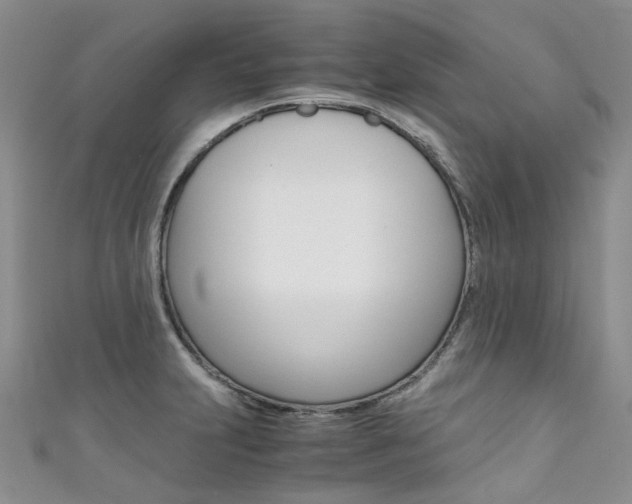 X0000111371231200907101010