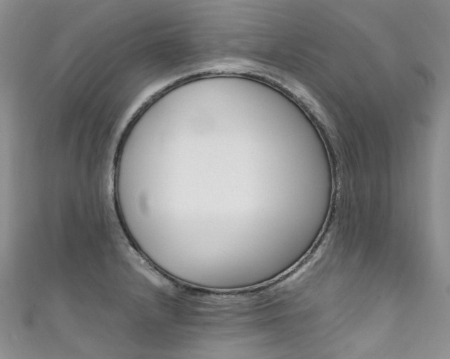 X0000111371232200907101010