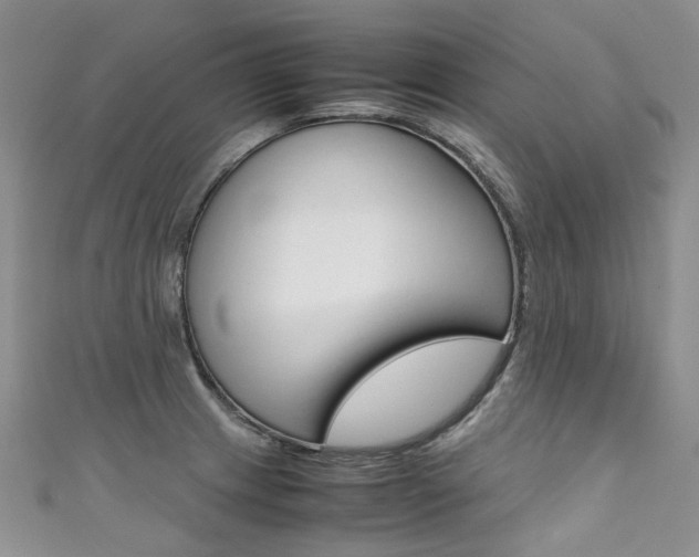 X0000111371233200907101010
