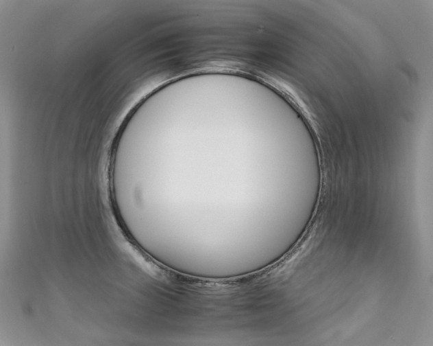 X0000111371235200907101010