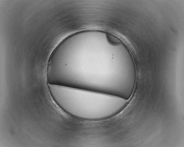 X0000111371236200907101010