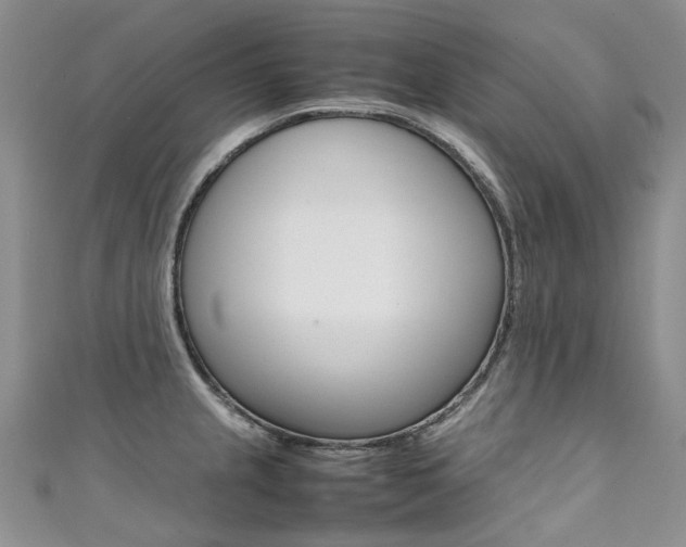 X0000111371237200907101010
