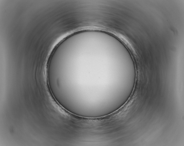 X0000111371238200907101010