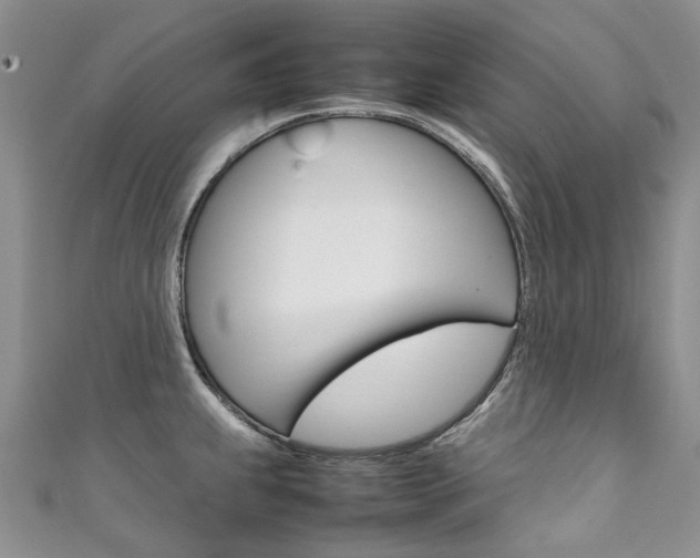 X0000111371239200907101010