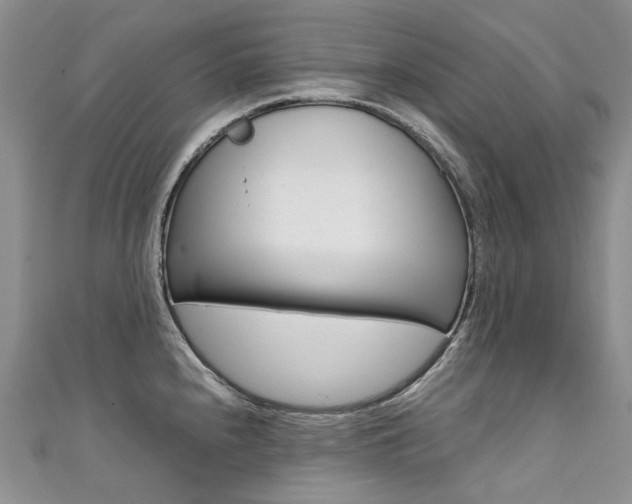 X0000111371240200907101010
