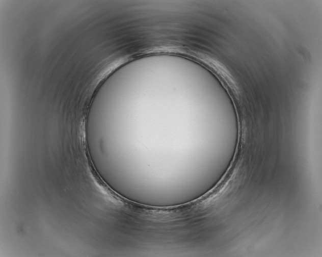 X0000111371241200907101010