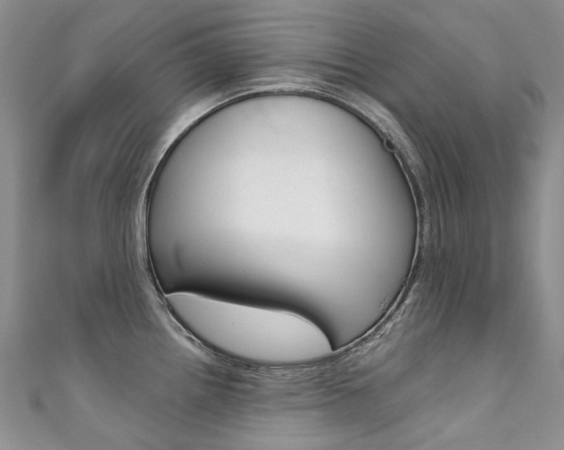 X0000111371242200907101010