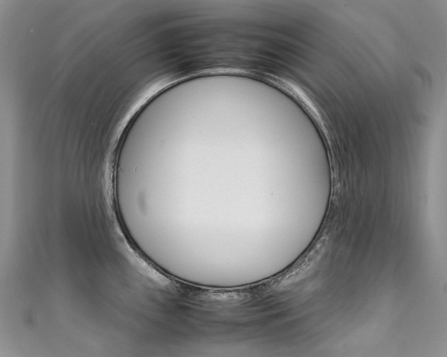 X0000111371243200907101010
