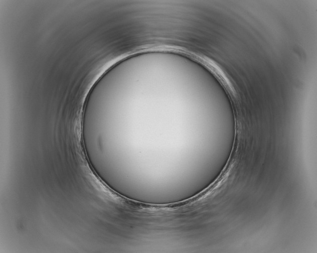 X0000111371244200907101010
