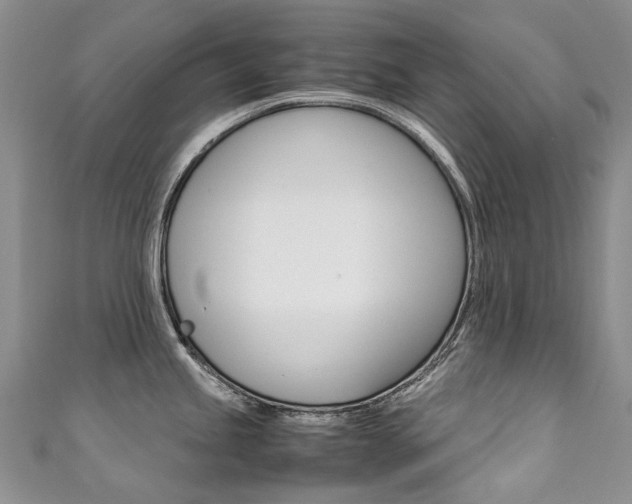 X0000111371245200907101010