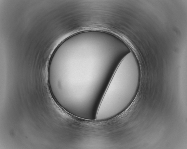 X0000111371246200907101010