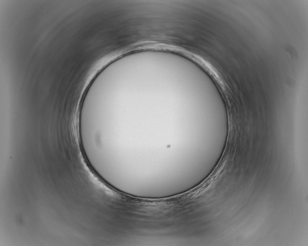 X0000111371247200907101010