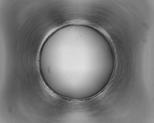 X0000111371248200907101010