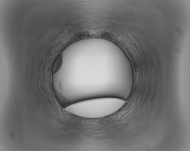 X0000111371249200907101010