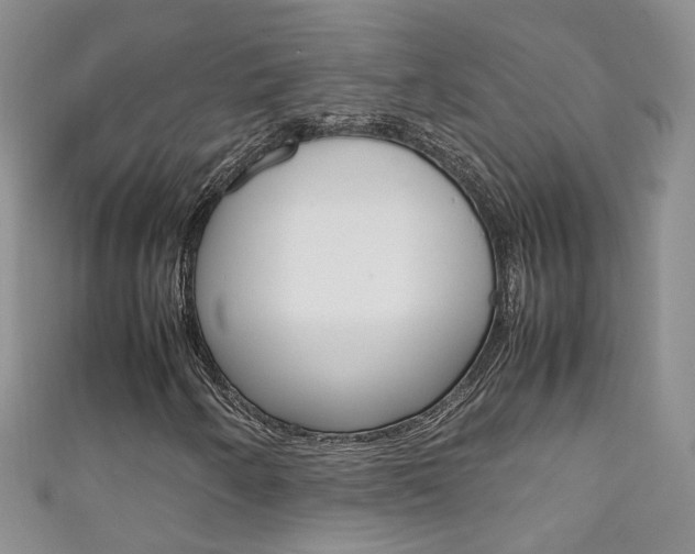X0000111371250200907101010