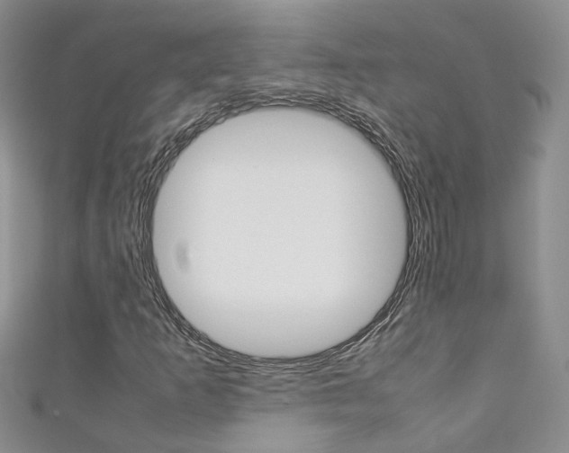 X0000111371253200907101010