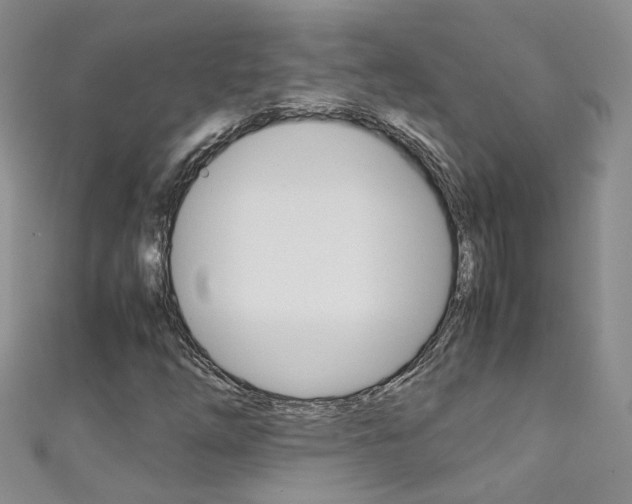 X0000111371254200907101010
