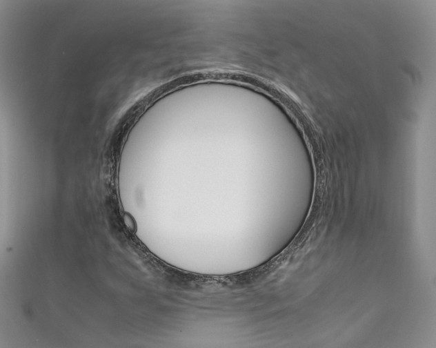 X0000111371255200907101010