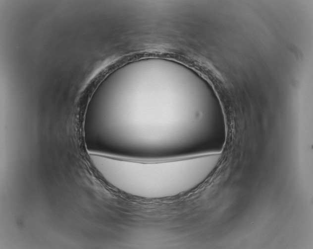 X0000111371256200907101010