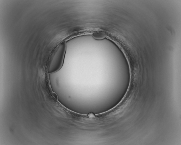 X0000111371257200907101010