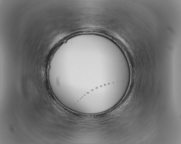 X0000111371259200907101010